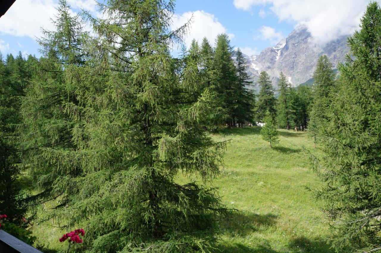Window On The Mountains Διαμέρισμα Breuil-Cervinia Εξωτερικό φωτογραφία